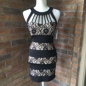 Trixxi Black & Nude Lace Fitted Party Dress